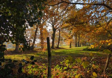 Trail Walking Saint-Erblon - St Erblon TA 01-12-22 - Photo