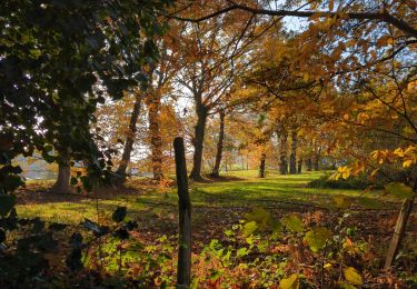 Tour Wandern Saint-Erblon - St Erblon TA 01-12-22 - Photo