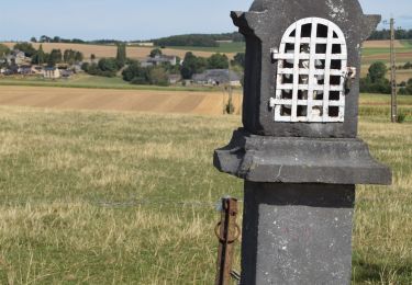 Randonnée Marche Yvoir - RB-Na-21_Mont_via-racc - Photo