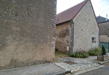 Randonnée Marche Marolles - Marolles - Site naturel et archéologique de la Grande Pierre et Vitain - Photo