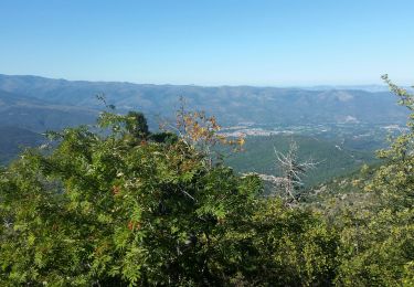 Trail Walking Fillols - Fillols  Cogollio - Photo