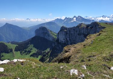 Tour Wandern Fillière - Sous-Dines Par Le Monthieu 12-06-2021 - Photo