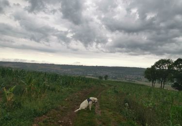 Tour Wandern Envermeu - envermeu st Nicolas  - Photo