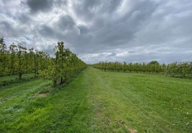 Tocht Stappen Zoutleeuw - S-GR Hageland : Terhagen - Diest - Photo