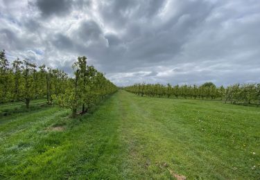 Tour Wandern Zoutleeuw - S-GR Hageland : Terhagen - Diest - Photo