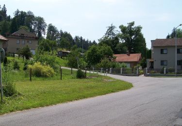 Percorso A piedi Choceň - NS Dívčí doly - Photo