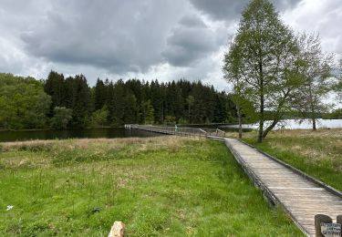 Randonnée sport Faux-la-Montagne - Tour du lac de Vassiviere - Photo