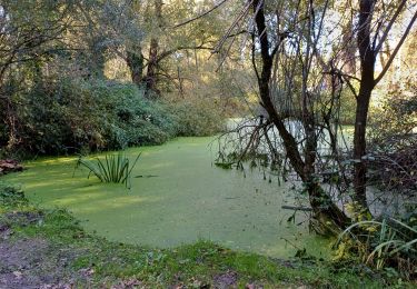 Excursión Senderismo Grézieu-la-Varenne - grezieu la varenne. boucle - Photo