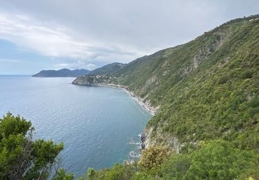 Trail Walking Vernazza - Vernazza - Riomaggiore - Photo