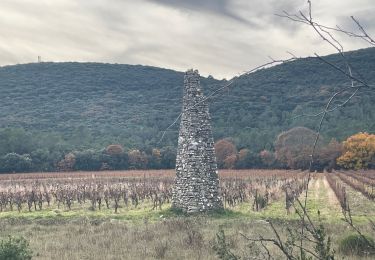 Tocht Stappen La Boissière - La Boissière chapelle Valcrose - Photo