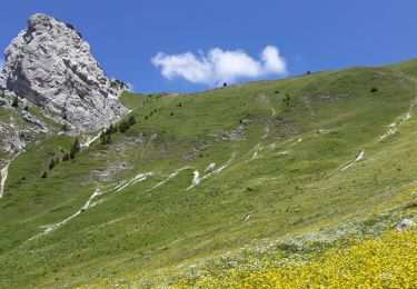 Trail Walking Saint-Pierre-de-Chartreuse - tour du Chaos de Bellefont - Photo