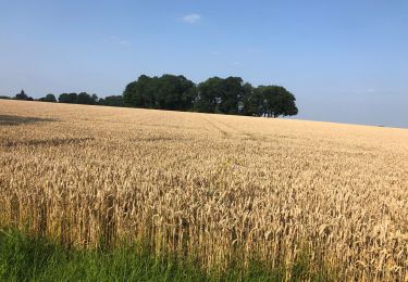 Tour Fahrrad Landen - Neerlanden-CrasAvernas-Les Waleffes-Rosoux - Photo