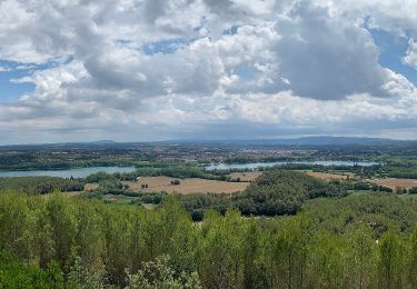 Excursión A pie Porqueres - Ruta de Can Morgat i Puig Clarà - Photo