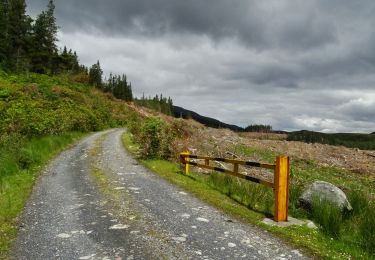 Trail On foot Westport-Belmullet Municipal District - Lough Aroher Loop - Photo