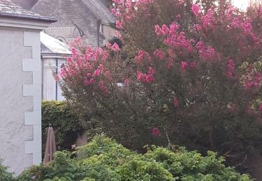 Trail Walking Azay-le-Rideau - Azay le rideau  - Photo