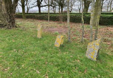 Tocht Stappen Frasnes-lez-Anvaing - Wapi 2.22 - Balade du