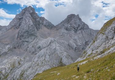 Trail On foot Auronzo di Cadore - IT-260 - Photo