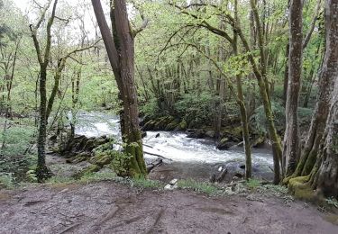 Randonnée Marche Rochefort - wavreille ac 4 - Photo