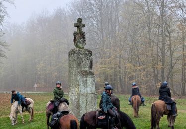 Trail Horseback riding Soucht - suuntoapp-HorsebackRiding-2024-11-09T08-23-34Z - Photo