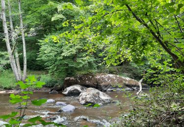 Tour Wandern Saint-Junien - sentier Corot - Photo