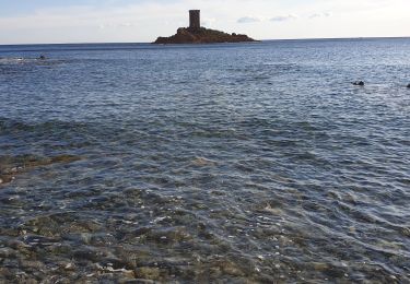 Trail Walking Saint-Raphaël - Dramont - Photo