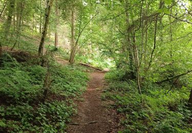 Tour Wandern Mettet - Biesmerée - Ermeton  - Photo