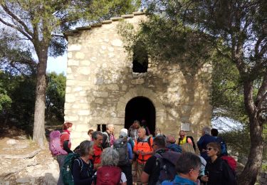 Trail Walking Gigondas - Dentelles Montmirail  - Photo