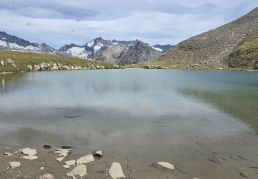 Tocht Stappen Bonneval-sur-Arc - 2025 Refuge du Carro - Photo