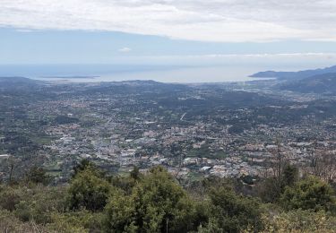 Tour Wandern Le Bar-sur-Loup - Grasse 11/04 - Photo