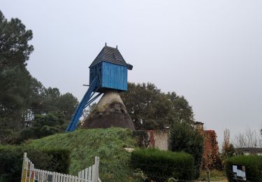 Percorso Marcia Bourgueil - Bourgueil le Picard - GRP Coteaux de Bourgueil - 24.3km 325m 5h25 (45mn) - 2024 10 30 - Photo
