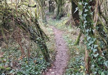 Trail Walking Ciney - Pessoux 071221 - Photo