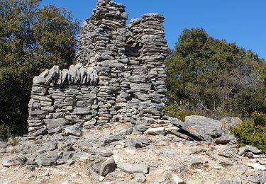 Tour Wandern Bidon - Dolmen bodon - Photo