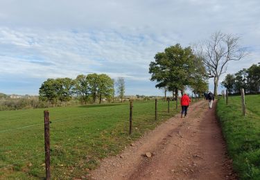 Randonnée Marche Sprimont - 15km Banneux Nov 2022 - Photo