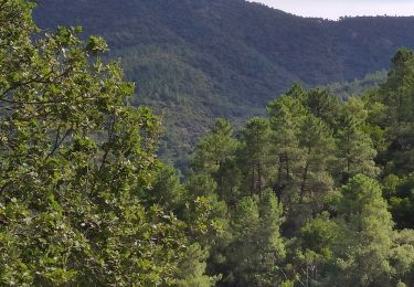 Randonnée Marche La Garde-Freinet - Boucle la Mourre/ Cabrettes - Photo