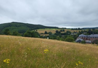 Randonnée Marche Vielsalm - Vielsalm 270625 - Photo