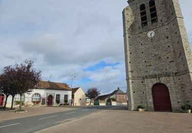 Excursión Senderismo Villeneuve-sur-Yonne - Villeneuve sur yonne - Photo