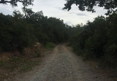 Percorso Marcia Les Adrets-de-l'Estérel - Sabatier Estérel 28/10/2019 - Photo