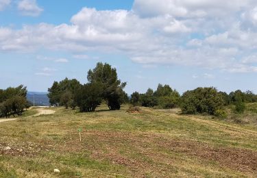 Trail Walking Lézignan-Corbières - LEZIGNAN La pinède par les éoliennes - Photo