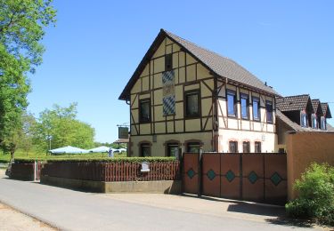 Tour Zu Fuß Freigericht - Kulturweg Birkenhainer Straße 2 - Photo