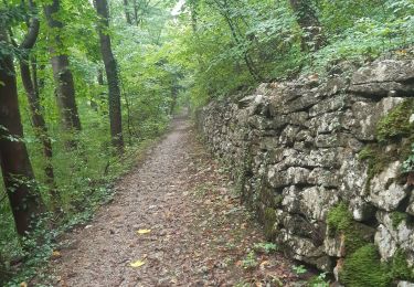 Tour Wandern Esneux - esneux eglise . hony . mery . crevecoeur . avionpuits . fontin . le fy . eglise - Photo