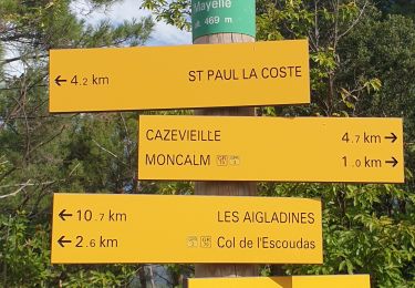 Trail Walking Cendras - montcalm - Photo