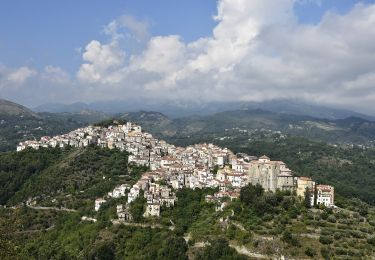 Tour Zu Fuß Nemoli - (SI T07) Lago Sirino - Comune di Rivello - Photo