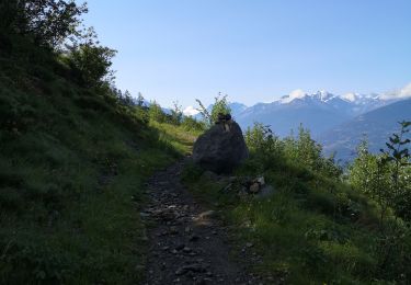 Excursión Marcha nórdica Arbaz - Anzère par les Evouettes  - Photo