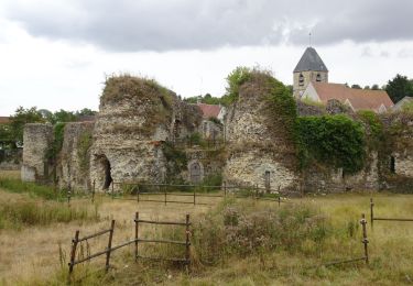 Randonnée Marche Beynes - Beynes - Photo