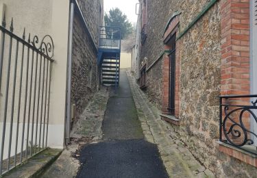 Tour Wandern Le Vésinet - En passant par Bougival  - Photo