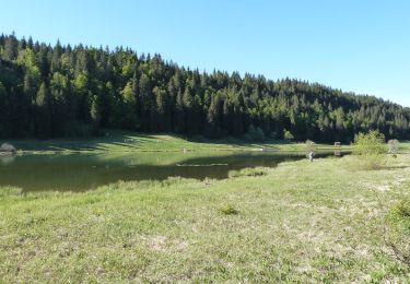 Tocht Stappen Lamoura - Jura 1(02-06-19) - Photo