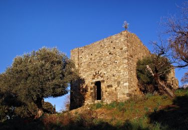 Tocht Te voet Occhiatana - Boucle de san Bastianu - Photo