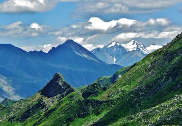 Trail On foot Brenner - Brennero - IT-8 - Photo