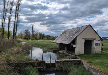 Tocht Stappen Lublé - Lublé - Meigné-le-Vicomte - 14.1km 70m 3h05 - 2025 04 02 - Photo