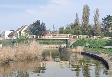 Trail Walking Veurne - van Veurne naar Beauvoorde.  - Photo